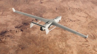 drone whale watching